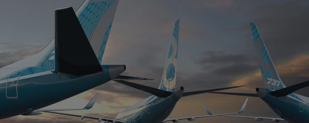 The U.S-India Aviation Cooperation Program