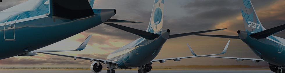 The U.S-India Aviation Cooperation Program