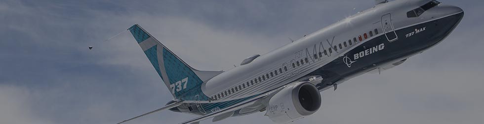 The U.S-India Aviation Cooperation Program