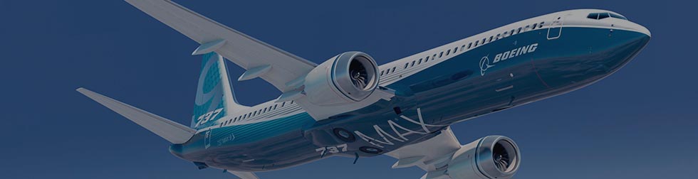 The U.S-India Aviation Cooperation Program