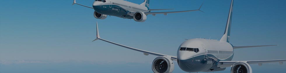 The U.S-India Aviation Cooperation Program