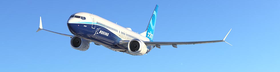 The U.S-India Aviation Cooperation Program