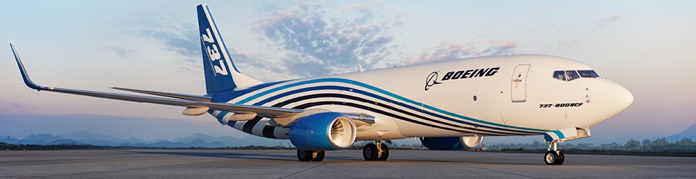 The U.S-India Aviation Cooperation Program